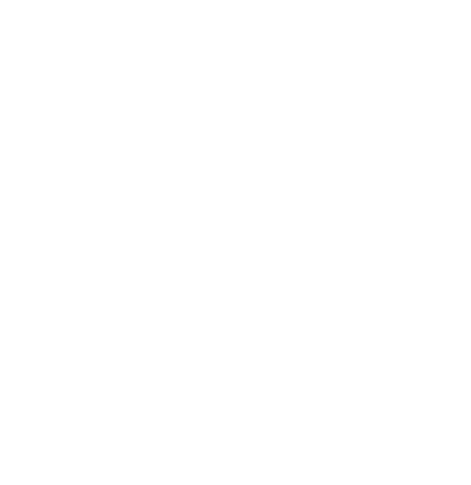 MAS Solutions Group logo